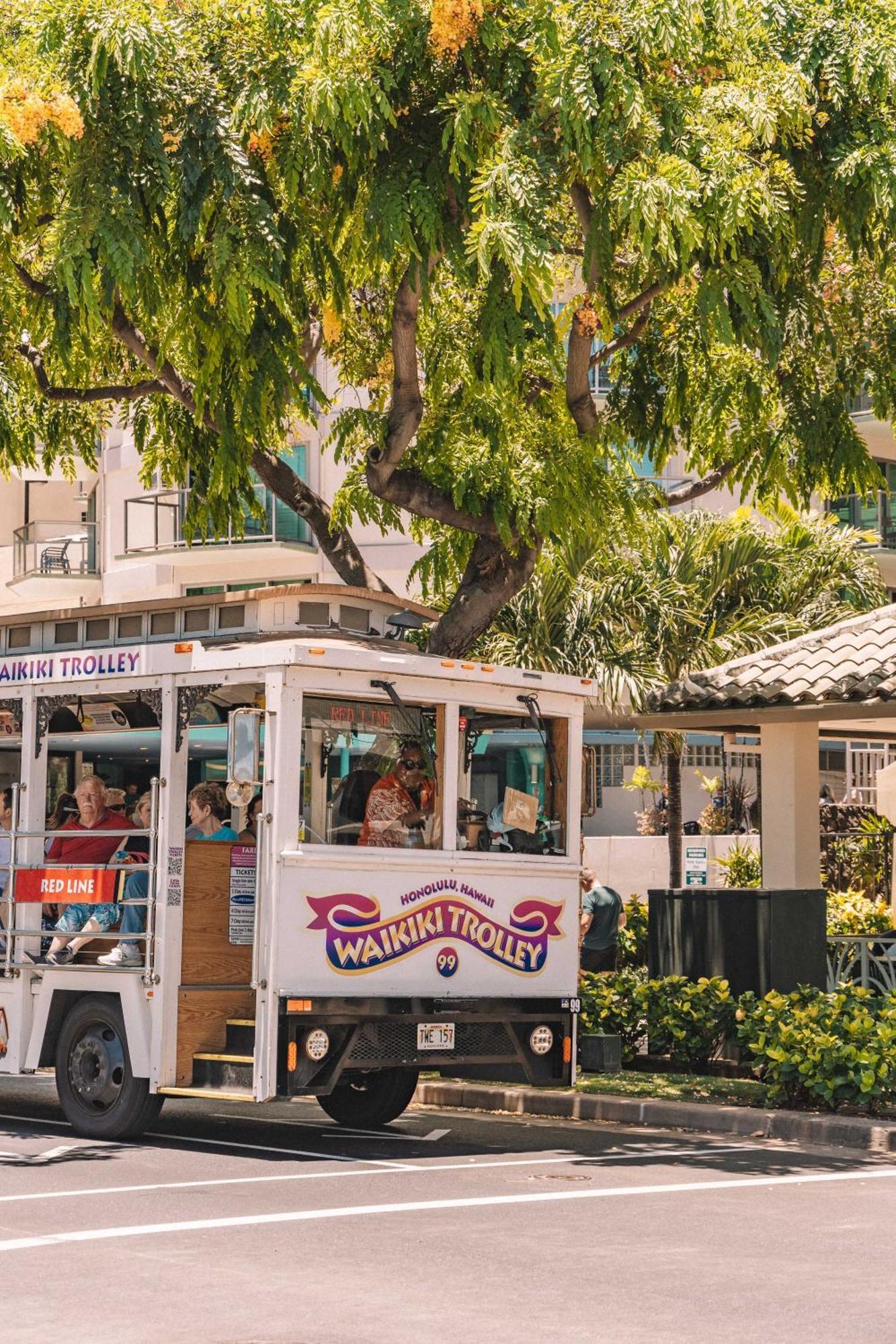 Tropical Gem Near Waikiki With Free Parking! Apartment
