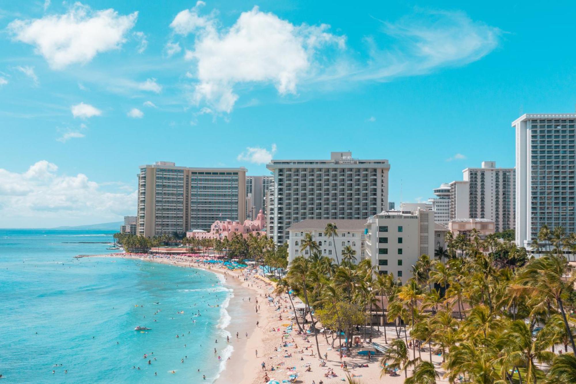 Tropical Gem Near Waikiki With Free Parking! *