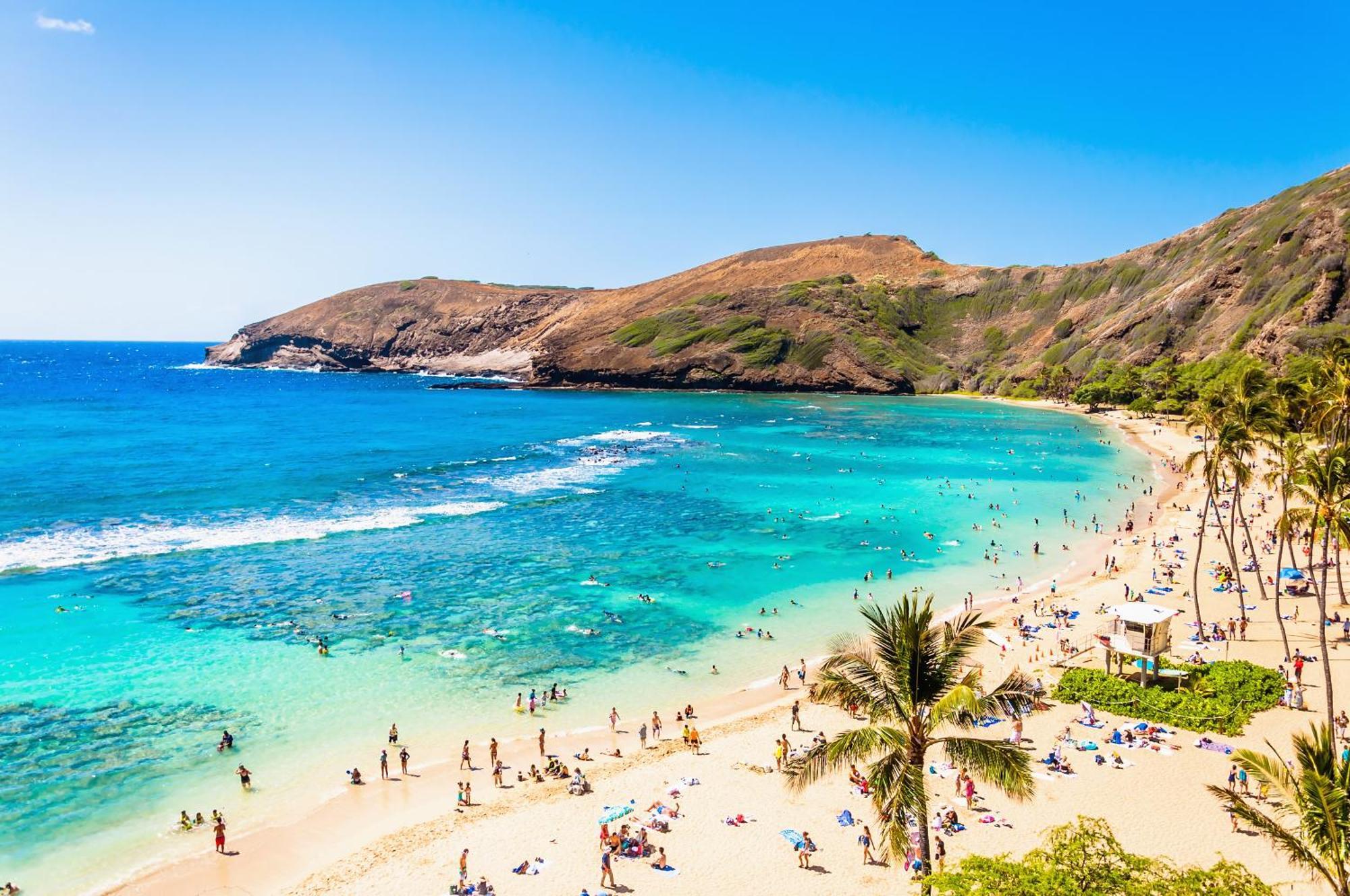 Tropical Gem Near Waikiki With Free Parking! Apartment Honolulu